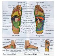 /album/fotogaleria/images-1-jpg/